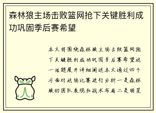 森林狼主场击败篮网抢下关键胜利成功巩固季后赛希望