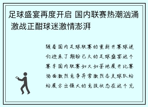 足球盛宴再度开启 国内联赛热潮汹涌 激战正酣球迷激情澎湃
