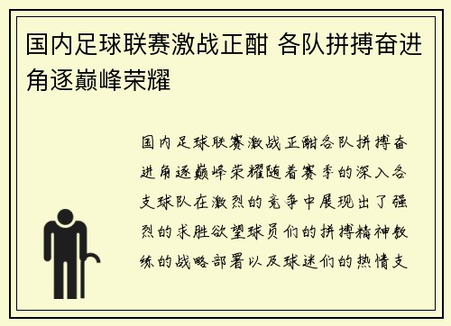 国内足球联赛激战正酣 各队拼搏奋进角逐巅峰荣耀